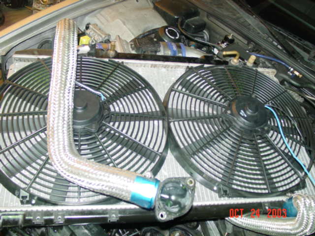fan2%20008.jpg