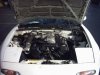 v8mx51.jpg