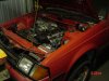 DSC00346.JPG
