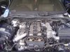 DSC02050.jpg