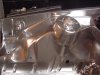 chrome_enginebay_4.jpg