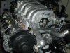 1UZ-intake-on-2UZ.jpg