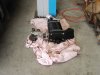 m_PIC00424.jpg