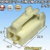 2 pin connector.JPG