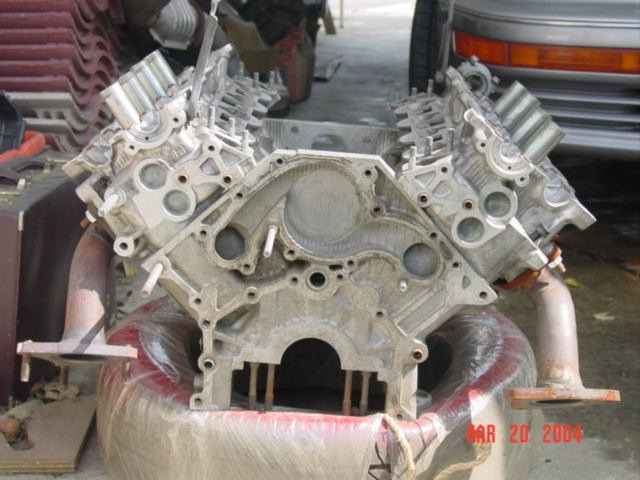bum%20001.jpg