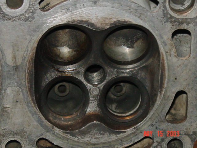 head%20002.jpg