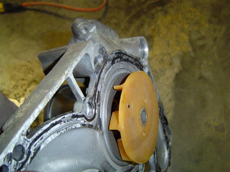 tbelt-waterpump%20021%20(Medium).jpg