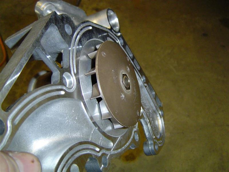 tbelt-waterpump%20022%20(Medium).jpg