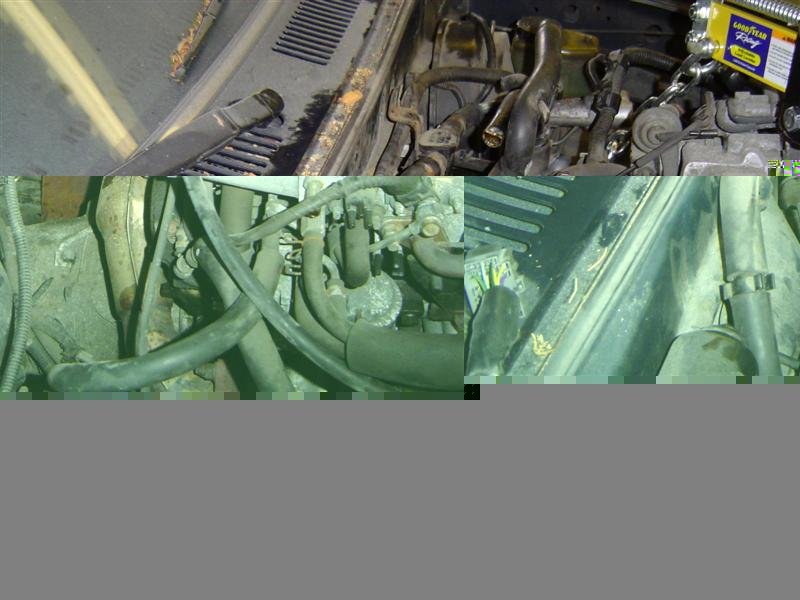 motorpulled%20013%20(Medium).jpg