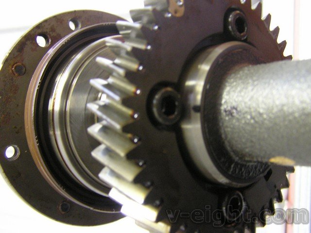 LargeImage00003.jpg