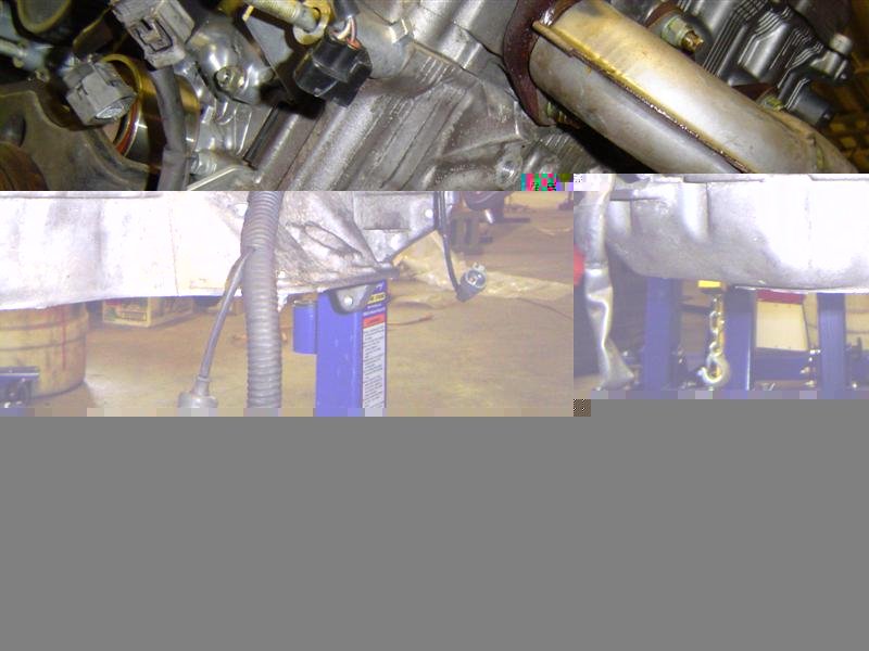 header-measurements%20003%20(Medium).jpg