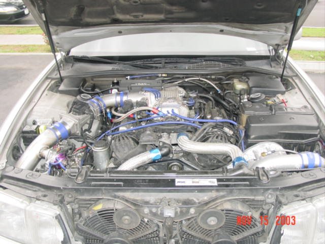 v2vid%20014.jpg