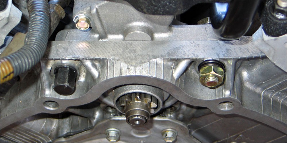 fwf_starter_02.jpg