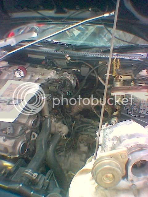 image_00069.jpg