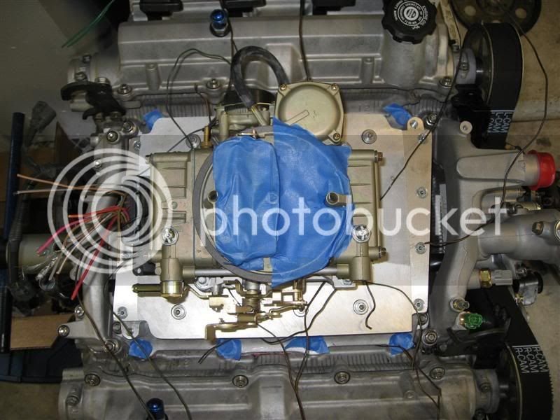 IMG_0850Medium.jpg