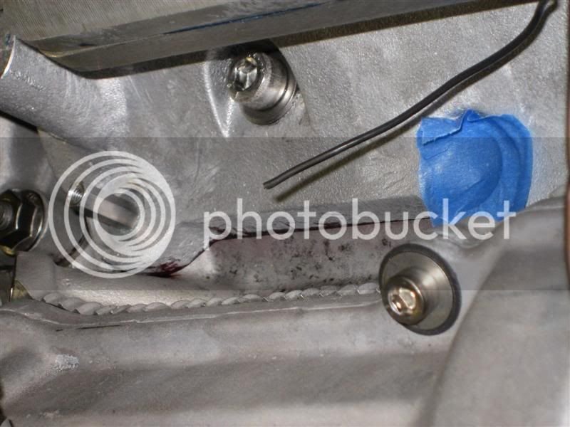 IMG_0860Medium.jpg