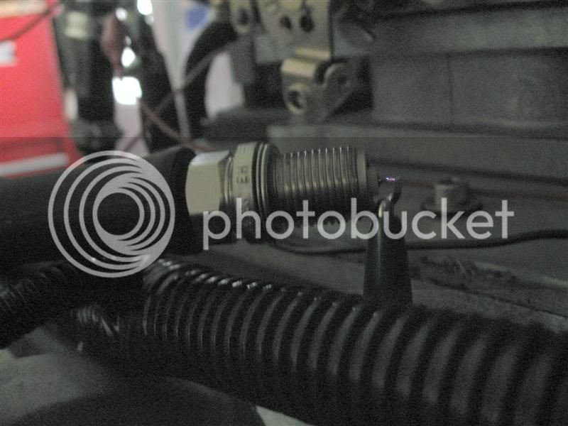 IMG_0870Medium.jpg