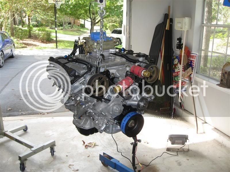 IMG_0938Medium.jpg