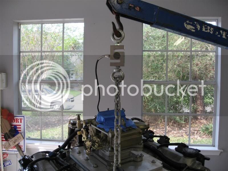 IMG_0947Medium.jpg