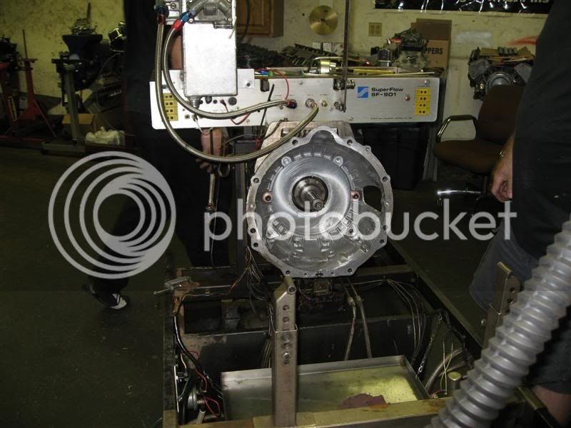 IMG_0973Medium.jpg
