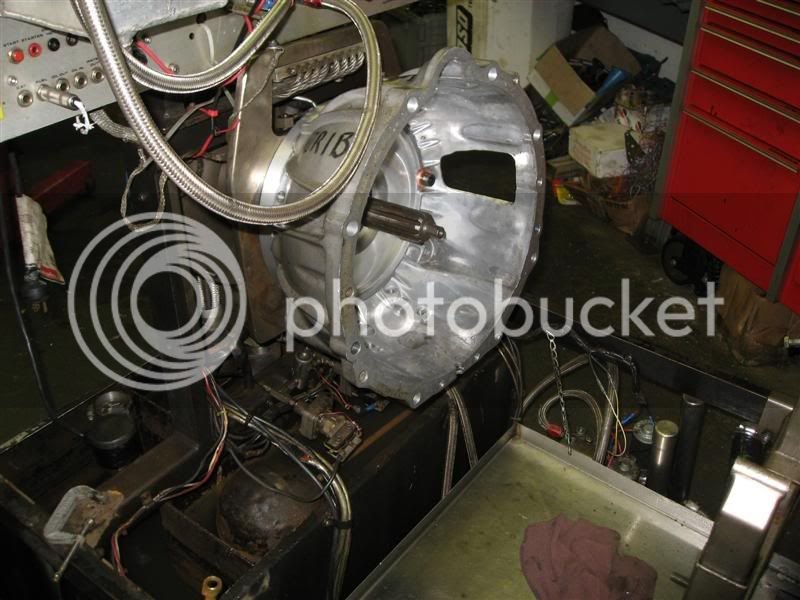 IMG_0974Medium.jpg