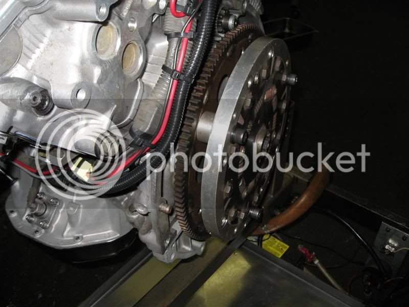 IMG_0975Medium.jpg