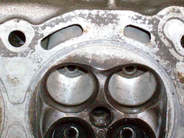 heads%20008.jpg