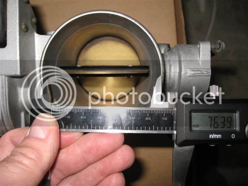 IMG_1075Medium.jpg