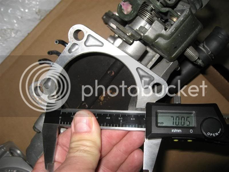 IMG_1076Medium.jpg