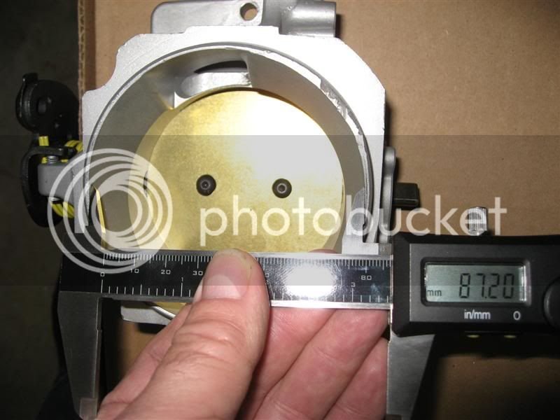 IMG_1077Medium.jpg