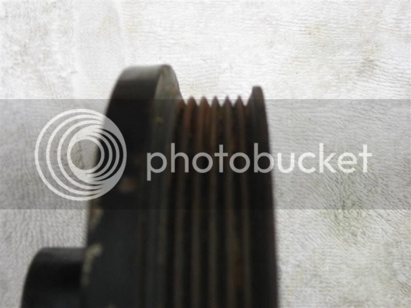 IMG_1136Medium.jpg