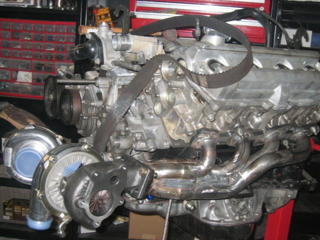 T3-T4%20006.jpg