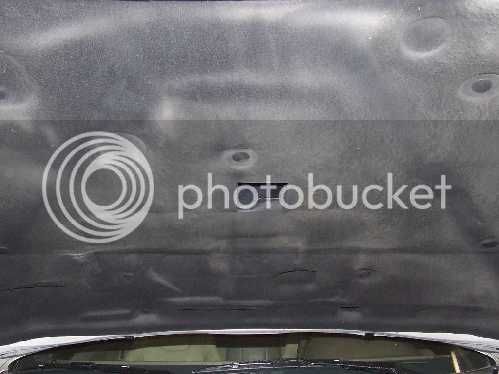 DSCF0693.jpg