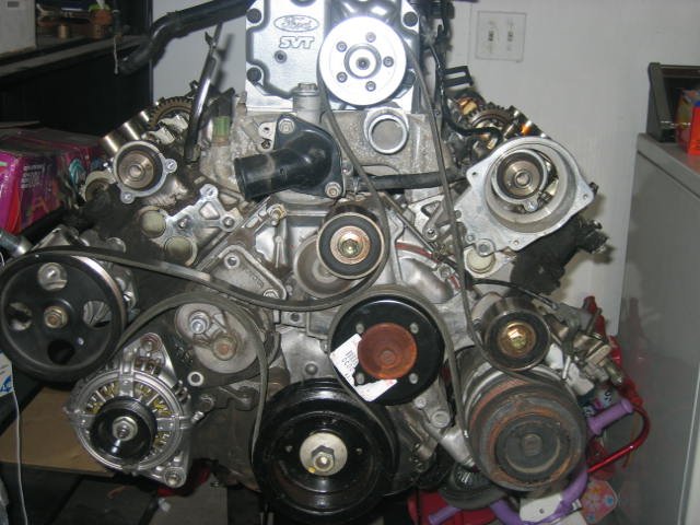 belt%20003.jpg