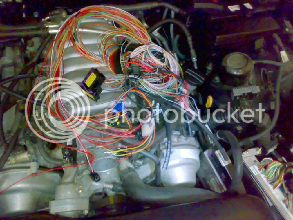 LS430LPG4.jpg LS430LPG4.jpg