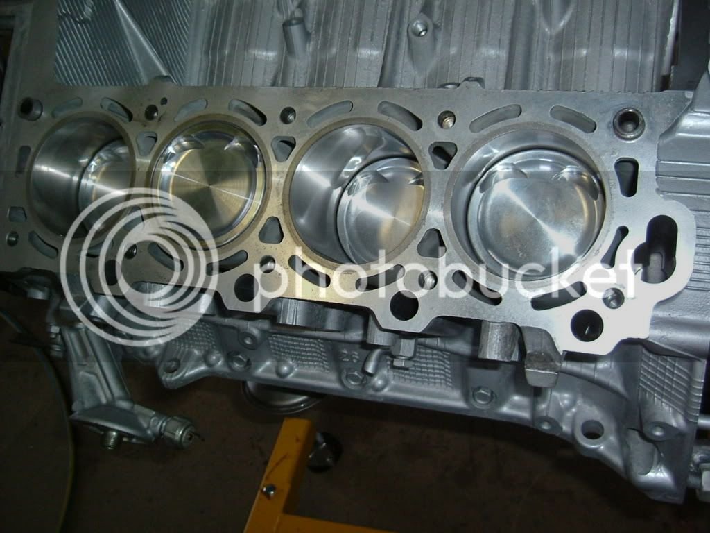 1UZ008.jpg