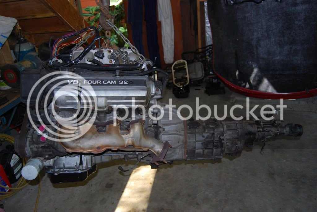 DSC_0339.jpg