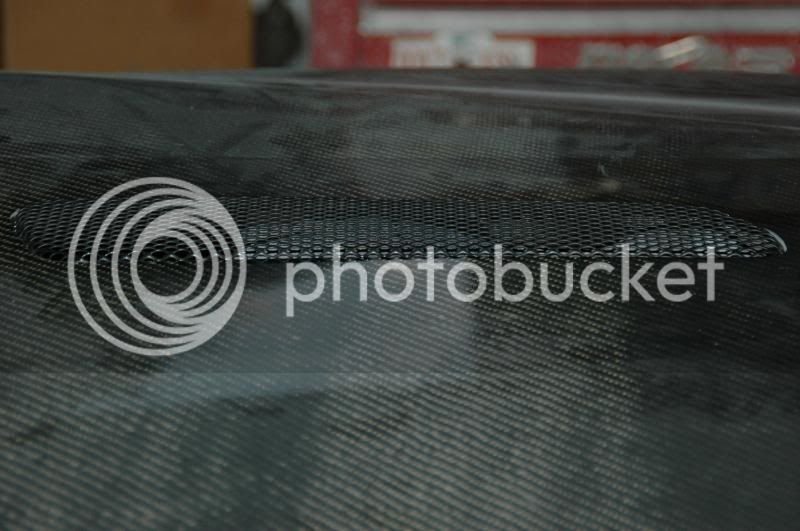 Picture019.jpg