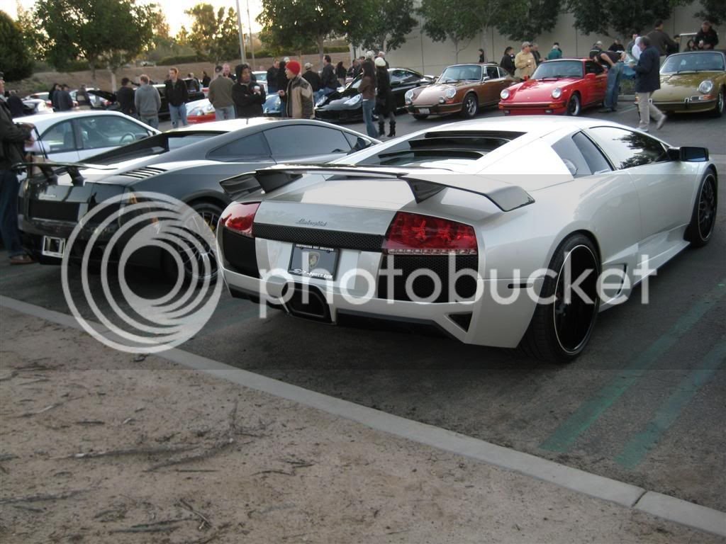 IMG_1542Large.jpg