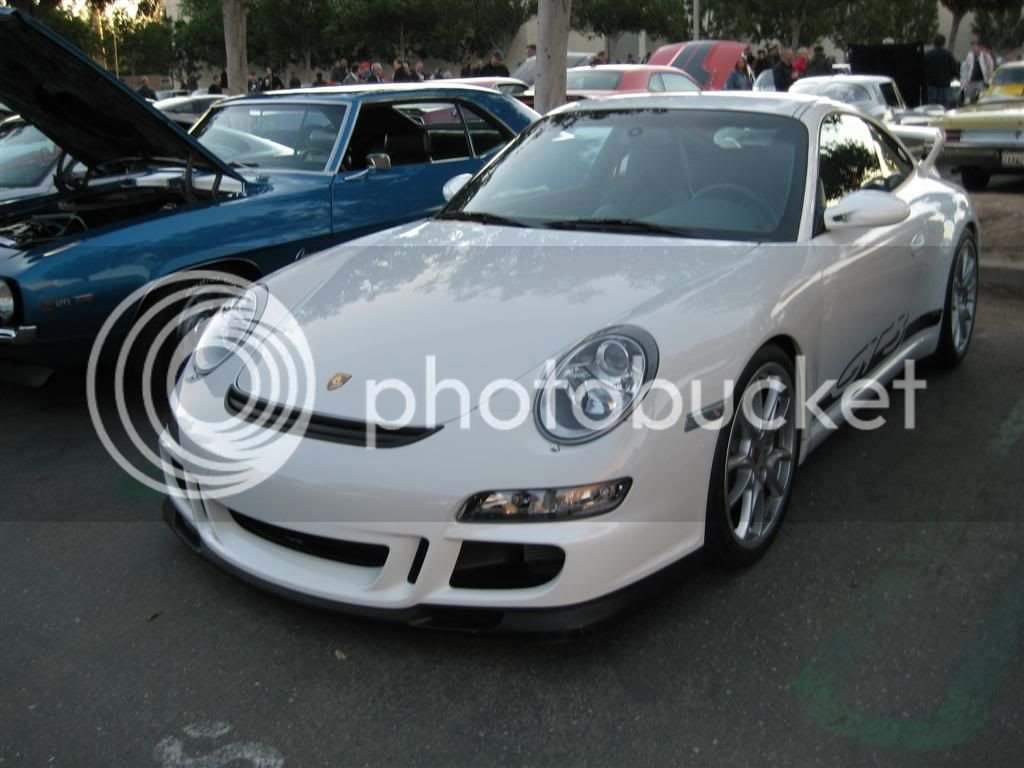 IMG_1544Large.jpg
