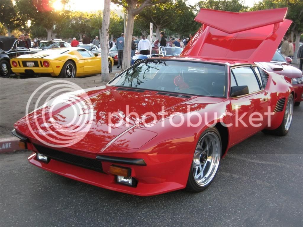 IMG_1559Large.jpg
