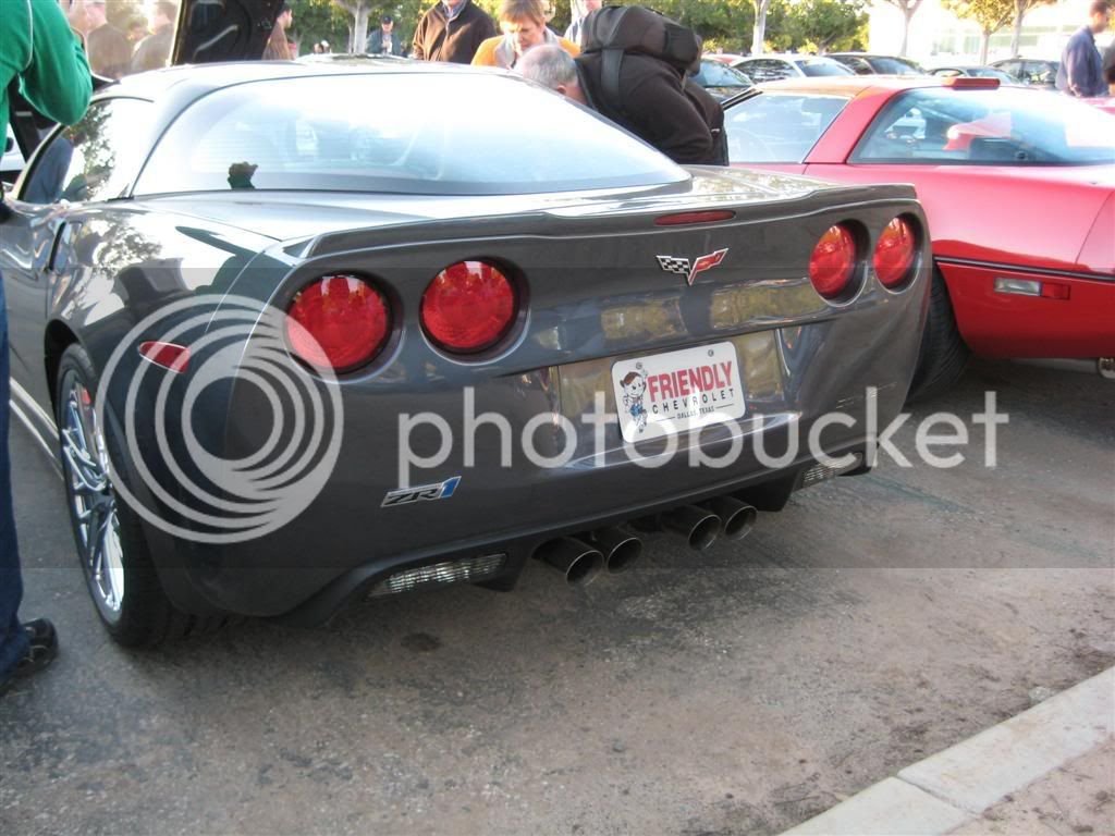 IMG_1565Large.jpg