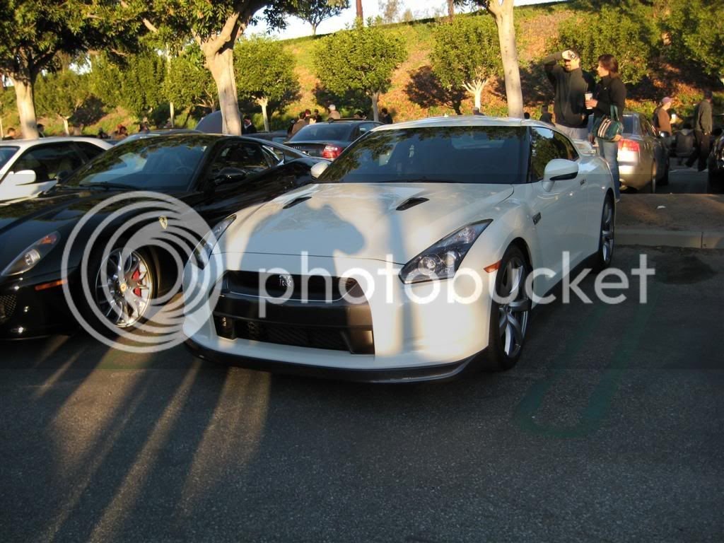 IMG_1574Large.jpg