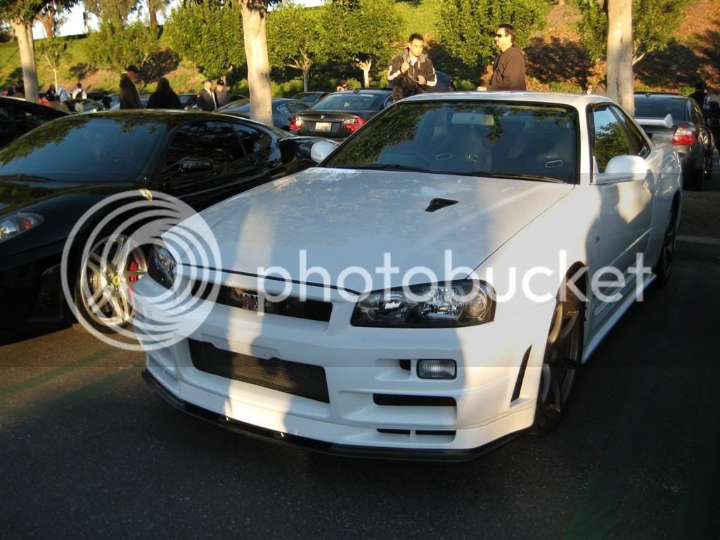 IMG_1578Large.jpg