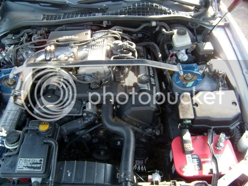 SL742855.jpg
