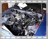 th_MOV04779.jpg th_MOV04779.jpg