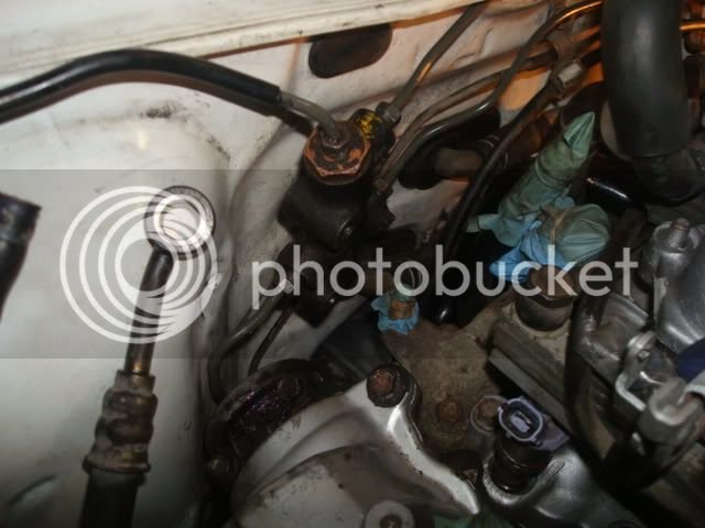DSC08678.jpg