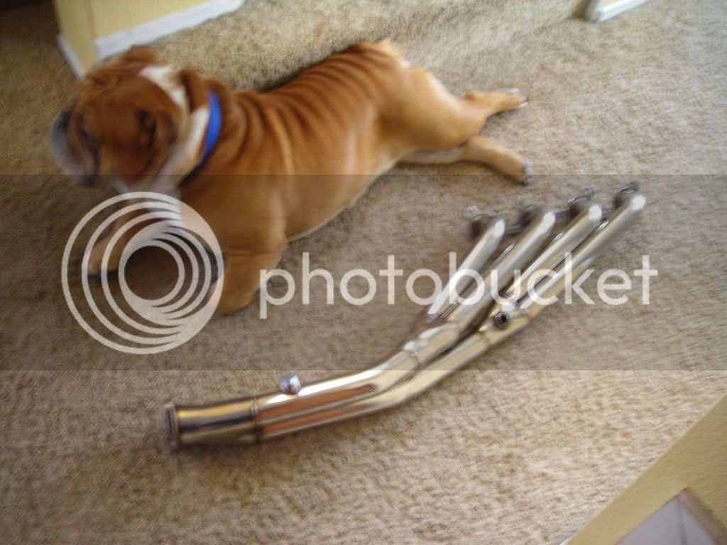 DSCN0940.jpg DSCN0940.jpg