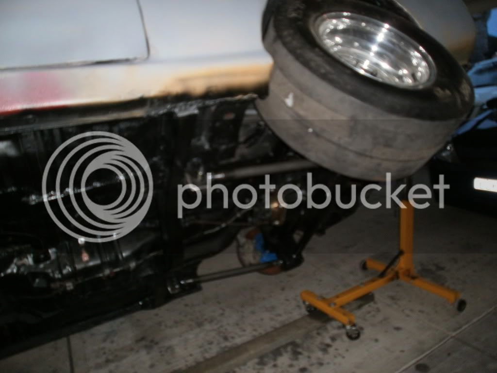 Celicarearsusp004.jpg