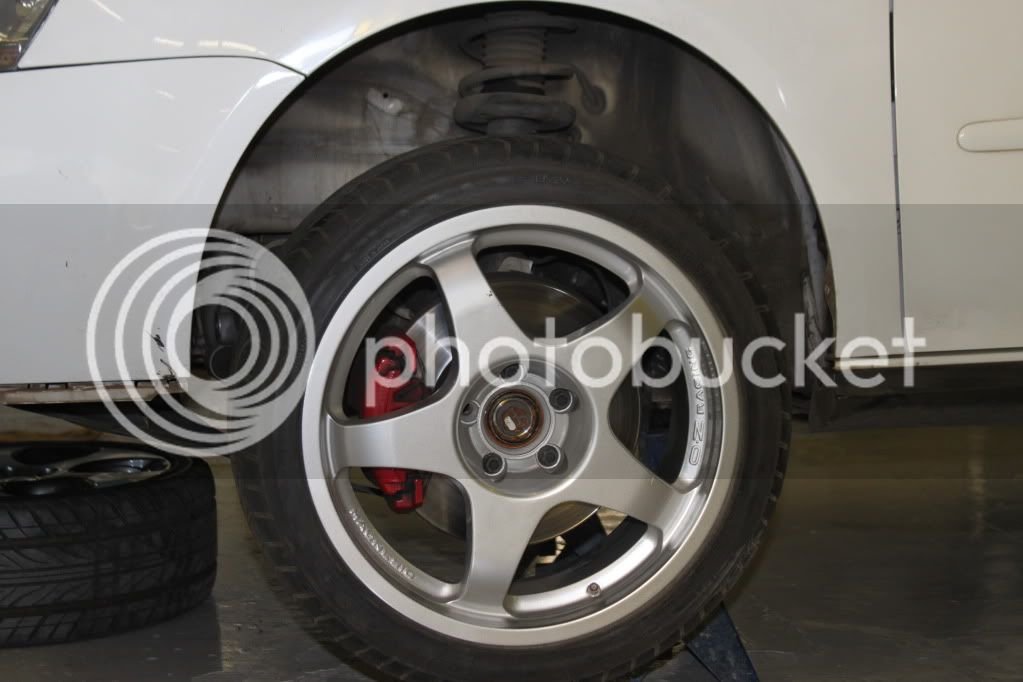 newimport1345.jpg